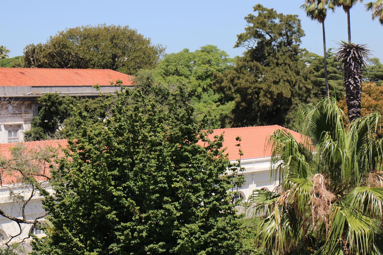 Lisboa 植物景旅馆酒店 外观 照片